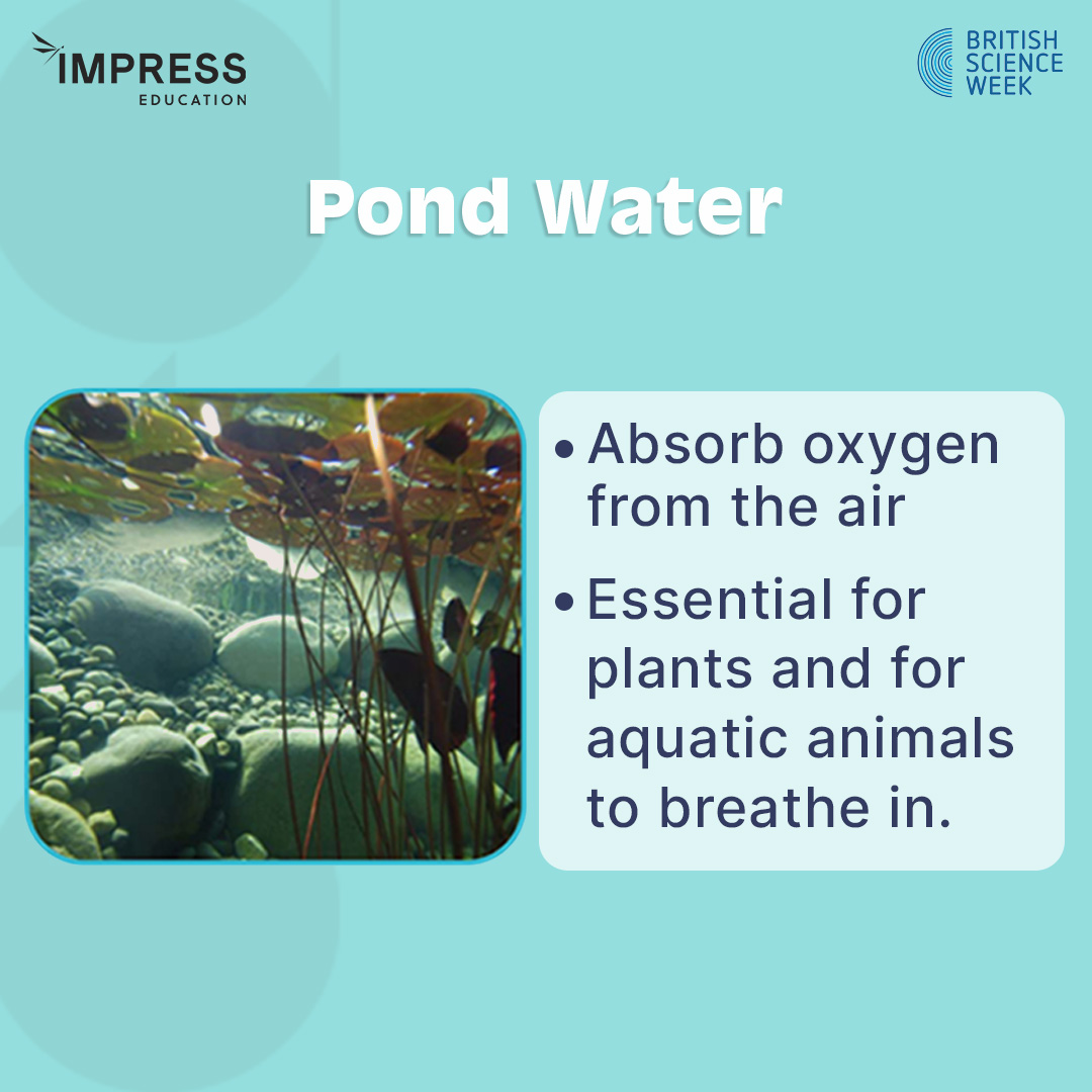 Impress Education tweet media