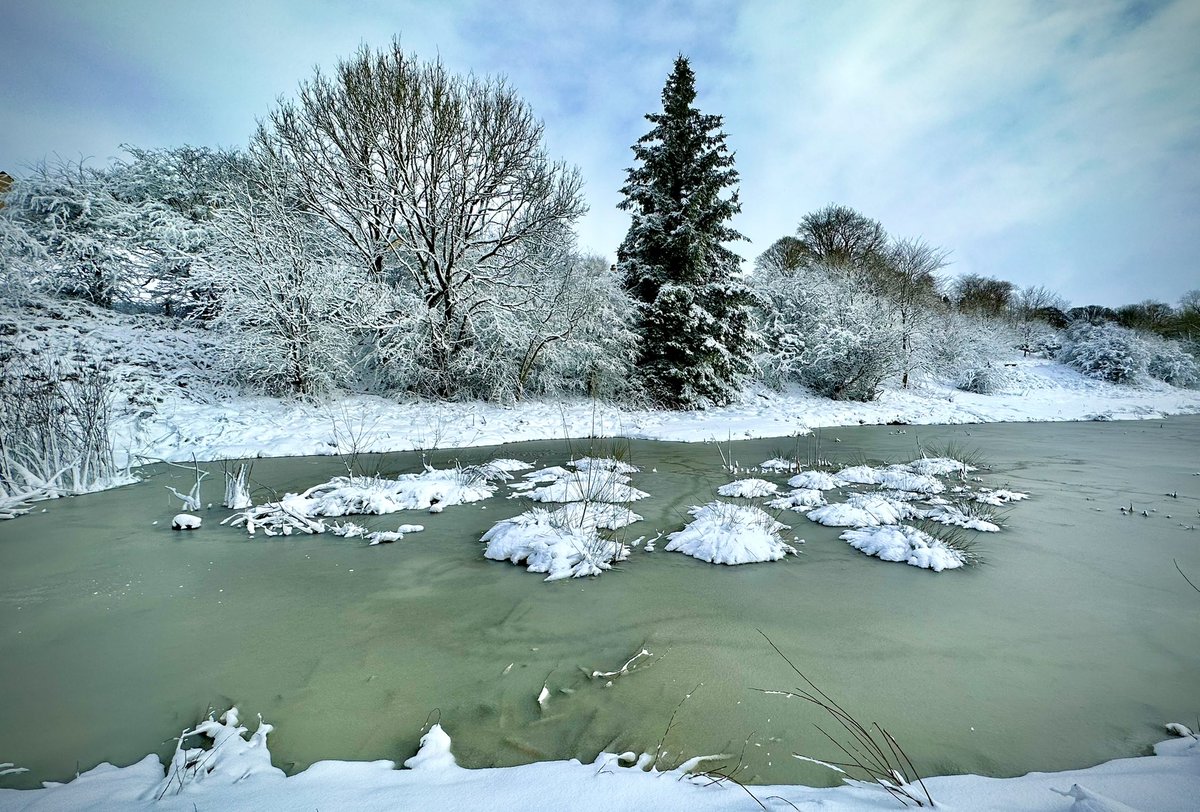 Beaut morning walking through Narnia 🥰