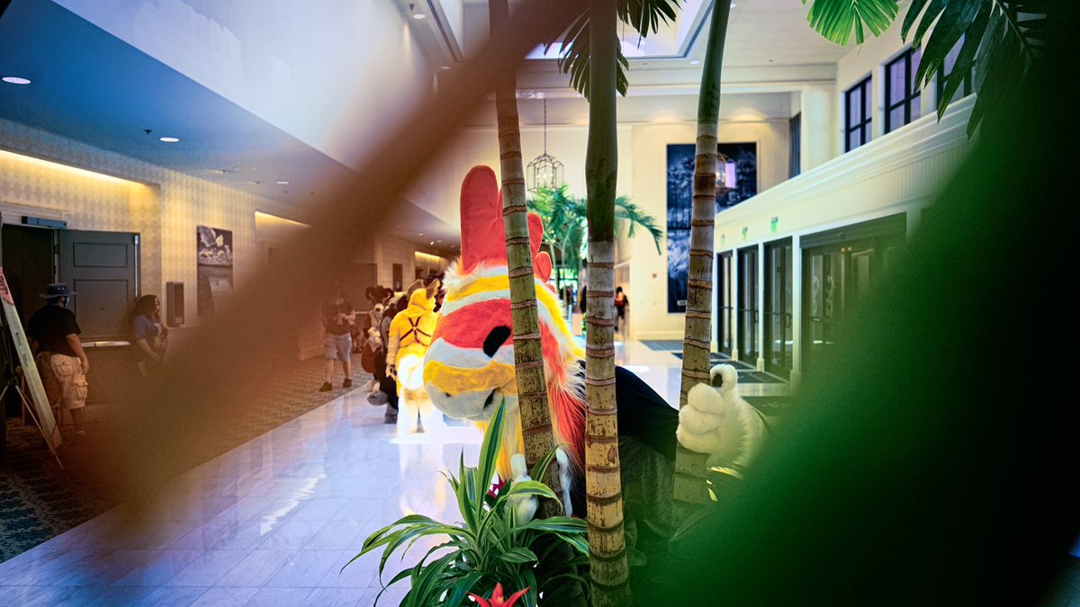 CormieMochi's tweet photo. ✨💛 How to find me at TFF! 🧡✨
I’ll be suiting around a bunch, so please feel free to say hi to the floofy candy corn raptor running about!! I’m so excited to see everyone there and meet up with friends again!! <3
✂️ @ButterscotchBi3
Happy #FursuitFriday!
#TFF2023 https://t.co/lafZoFR13S