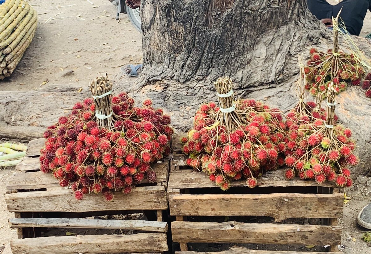 IamBenZanzibar's tweet photo. Let The Season Begin.
#ShokiShoki #Zanzibar 🍒 https://t.co/KKTaXvFmeA