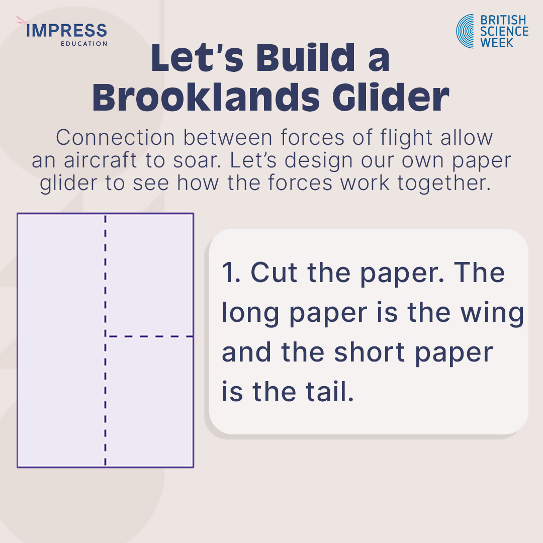 Impress Education tweet media