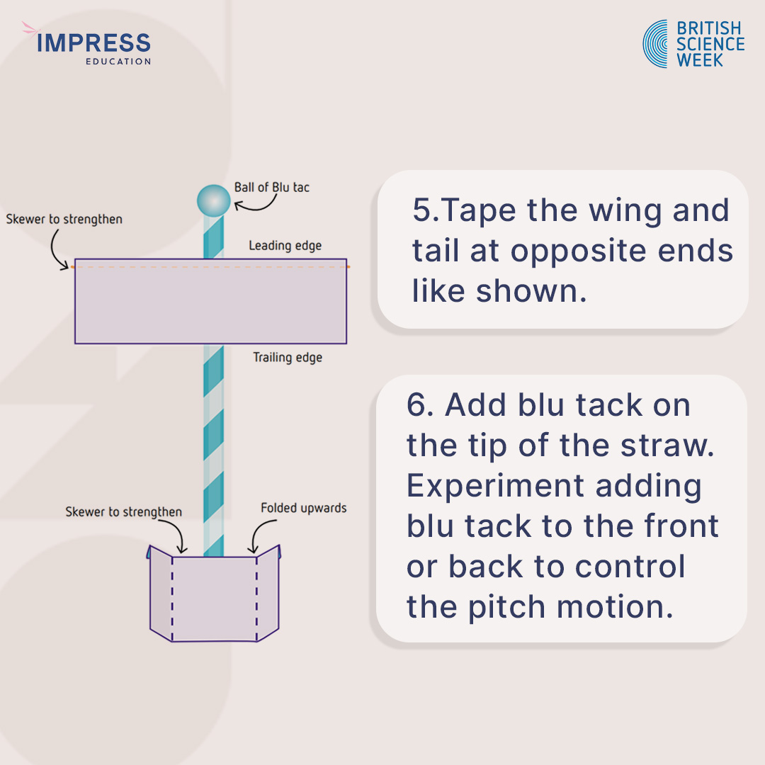 Impress Education tweet media