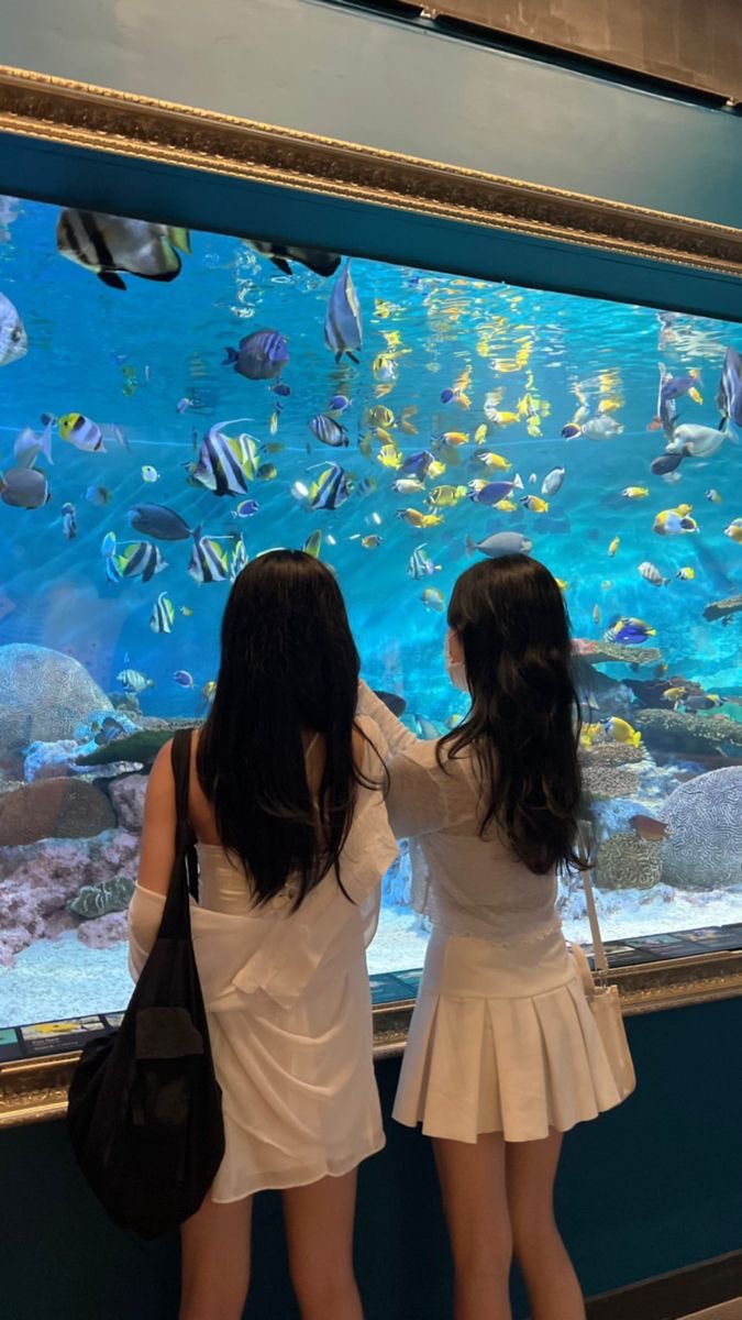 <a href="/angellichae/">angel :3</a> asha : 'chae ikan pernah jtuh cinta g yh ?' 🐠🤍 <a href="/angellichae/">angel :3</a>