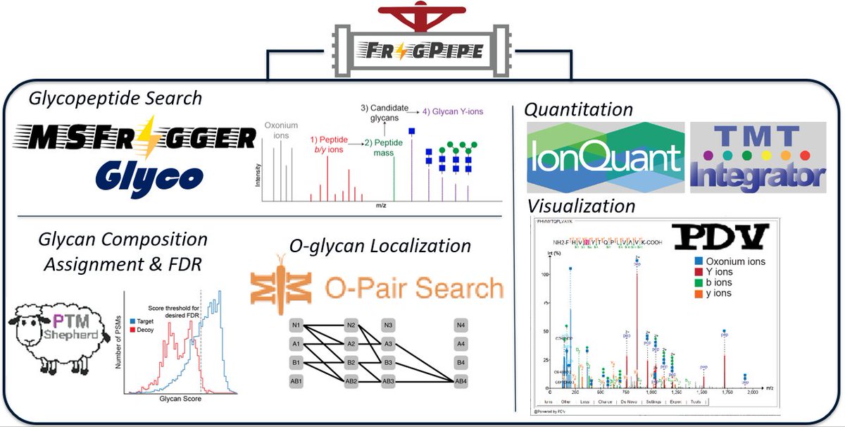 Alexey Nesvizhskii (@nesvilab) on Twitter photo <a href="/DanPolasky/">Dan Polasky</a> is heading to Gordon Research Conference on Glycobiology to present "The MSFragger-Glyco Software Suite in FragPipe: A Growing Toolkit for Glycoproteomics Analysis". Ultrafast search, glyco FDR control, MS/MS visualization, LFQ/TMT quantification, and more! #glycotime <a href="/DanPolasky/">Dan Polasky</a> is heading to Gordon Research Conference on Glycobiology to present "The MSFragger-Glyco Software Suite in FragPipe: A Growing Toolkit for Glycoproteomics Analysis". Ultrafast search, glyco FDR control, MS/MS visualization, LFQ/TMT quantification, and more! #glycotime