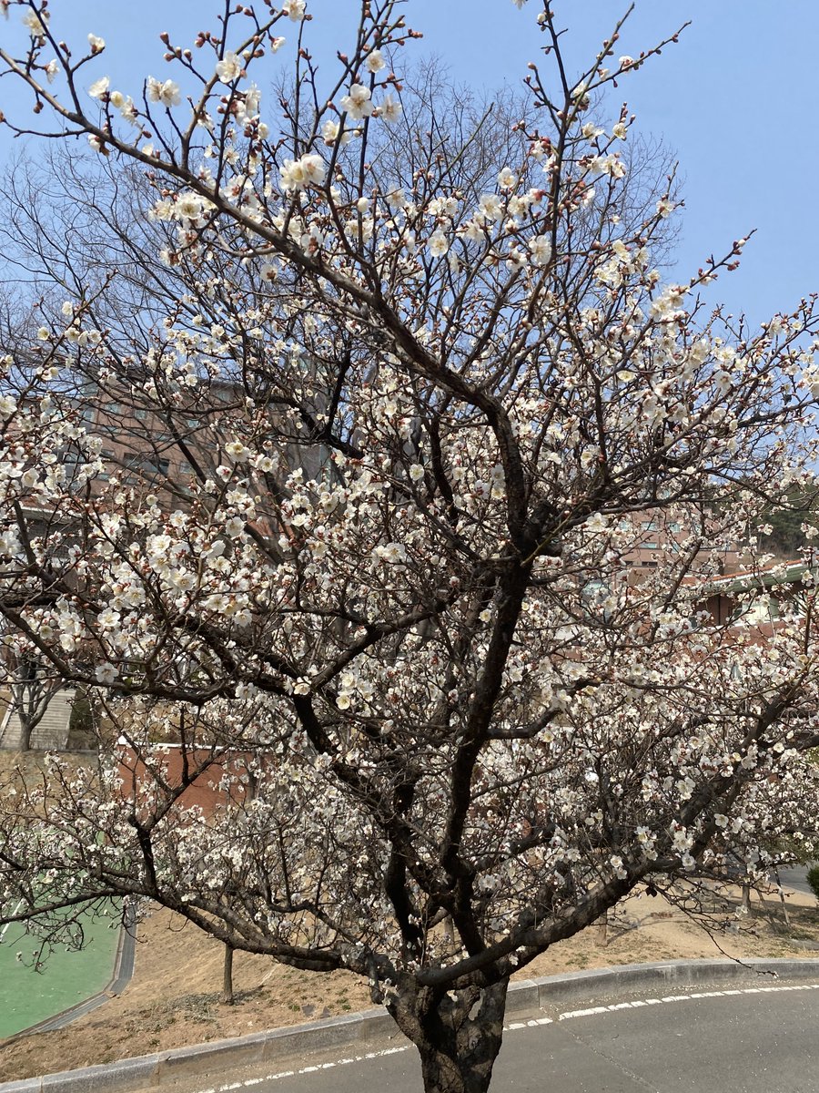 ツろ (@kikeryubx) on Twitter photo 