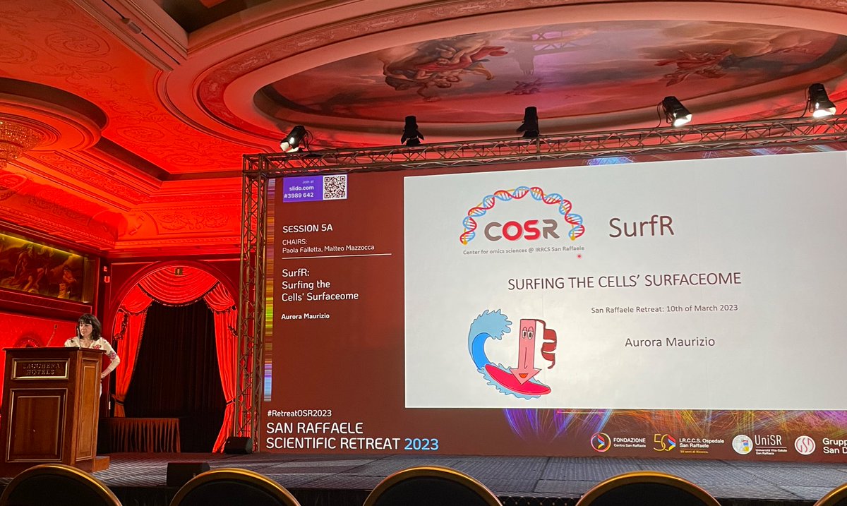RetreatOSR day3: Aurora Maurizio <a href="/aurora_maurizio/">Aurora Maurizio</a> <a href="/CosrLab/">COSR Lab</a> has brilliantly illustrated SurfR, a bioinformatics R package we are developing to surf the cells’ surfaceome starting from NGS data #RetreatOSR2023 #bioinformatics #surfaceome #Rpackage