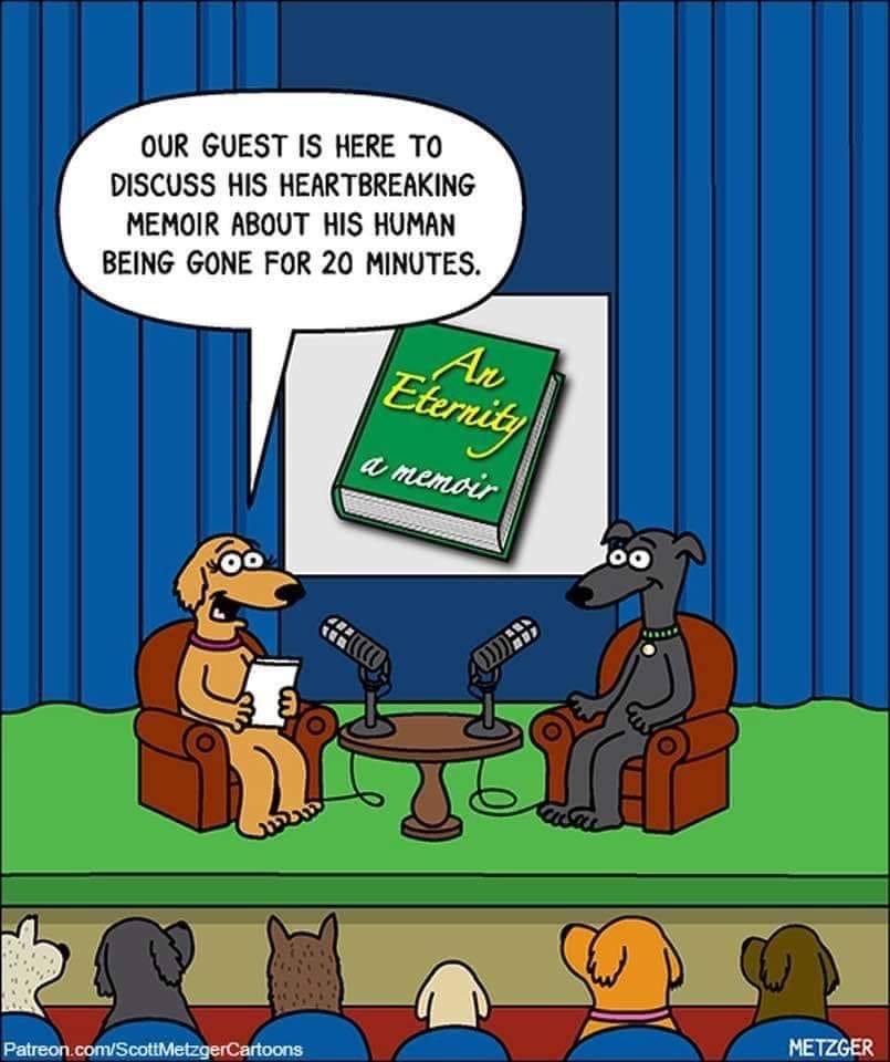 jmaquaticspets's tweet photo. Happy Friday!

#tgif #grandjunction #jmaquaticspets #petprofessionals #dogs #dogparents #dogslife #adogslife #gjco https://t.co/p99MF8cUcO