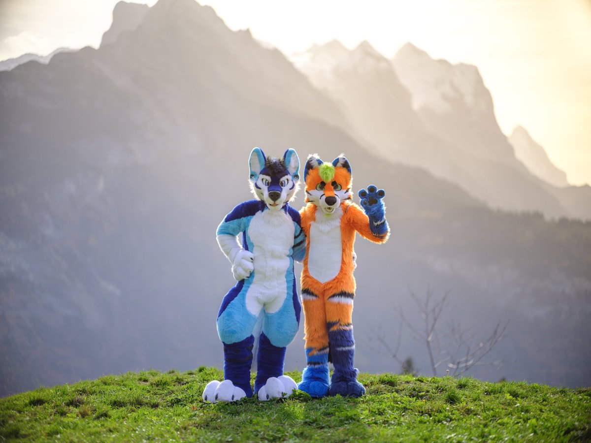 Happy #FursuitFriday x3 Cannot wait to meet the cute tigerfox @yourtirox again. See ya in May friend 💙💙💙 Cannot wait!!!! 📸: @CaptainChaotika