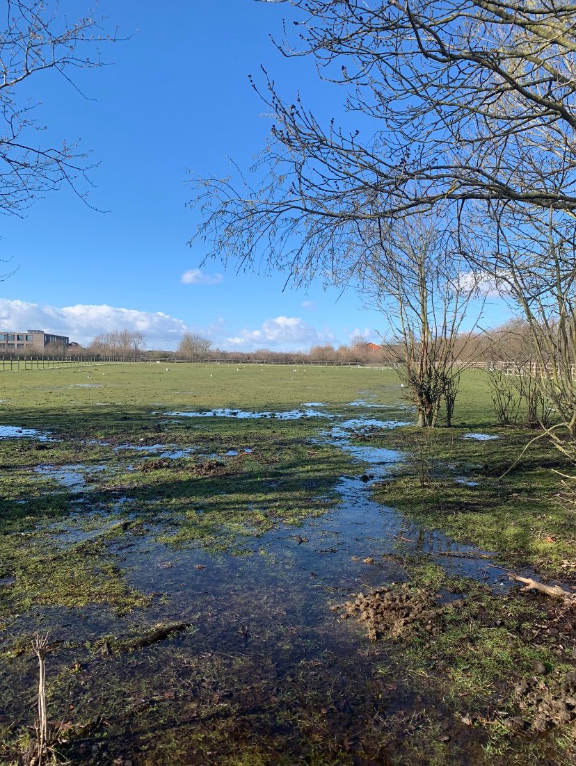 MichelleOlner's tweet image. A day of two seasons.  What started out as wintry blizzards has melted away into sunshine and blue skies. Beautifully soggy.  What crazy weather we’re having ❄️☀️🌳🥰
