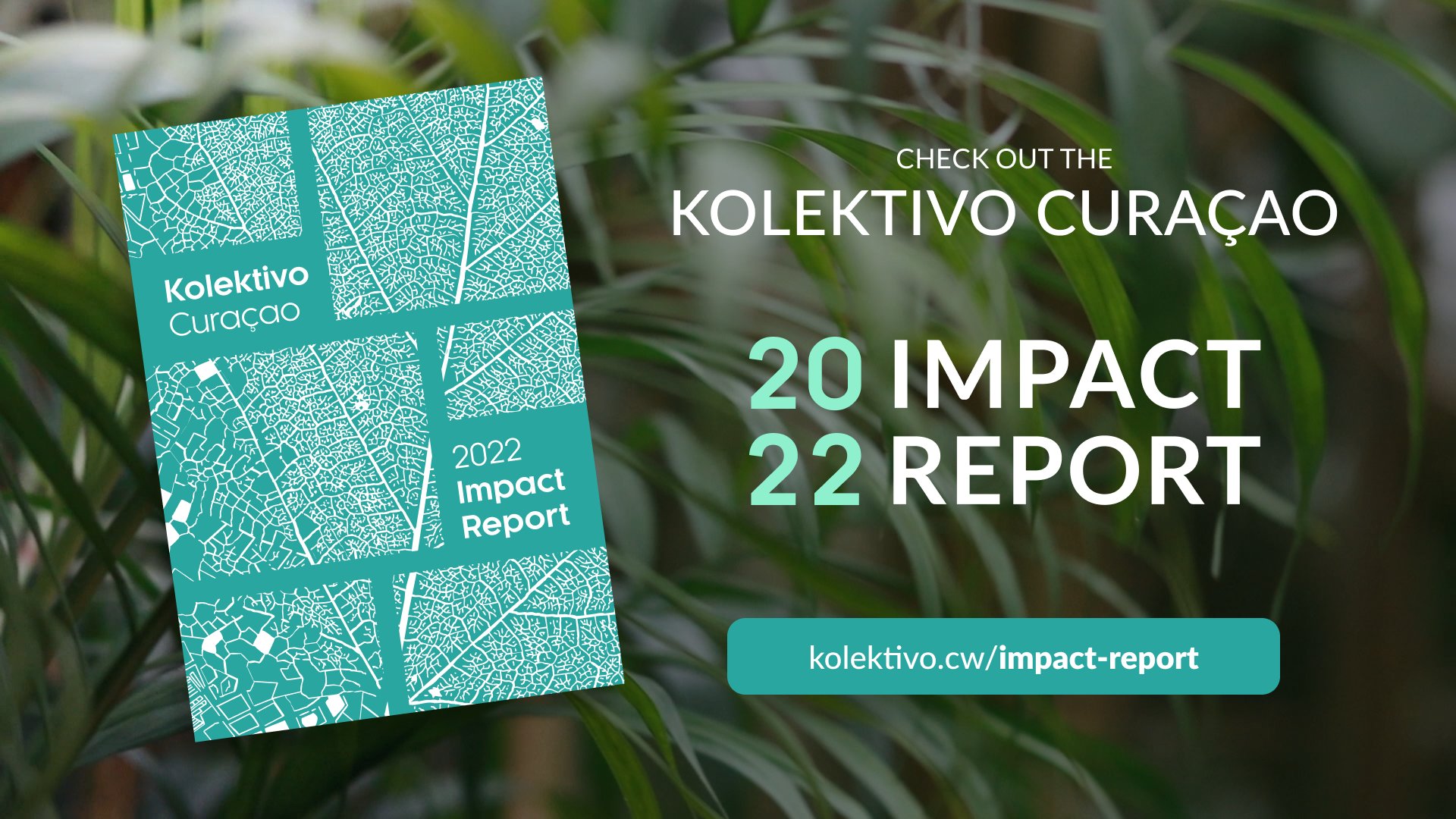 Kolektivo on X: "Explore the full Kolektivo Curaçao Impact Report 2022  here!⬇️ https://t.co/KUtMLoNmaB https://t.co/agaXvSBKia" / X