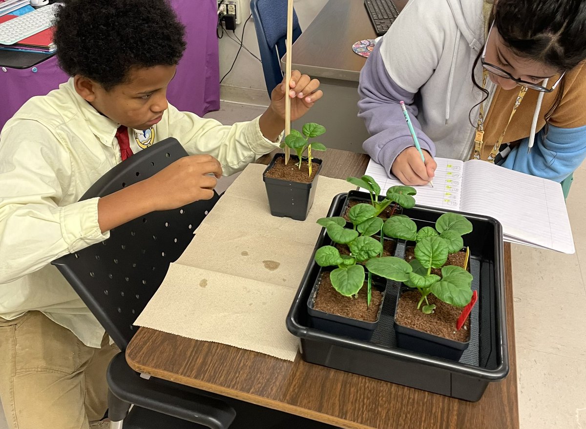 Ms Ro-Do tweet media