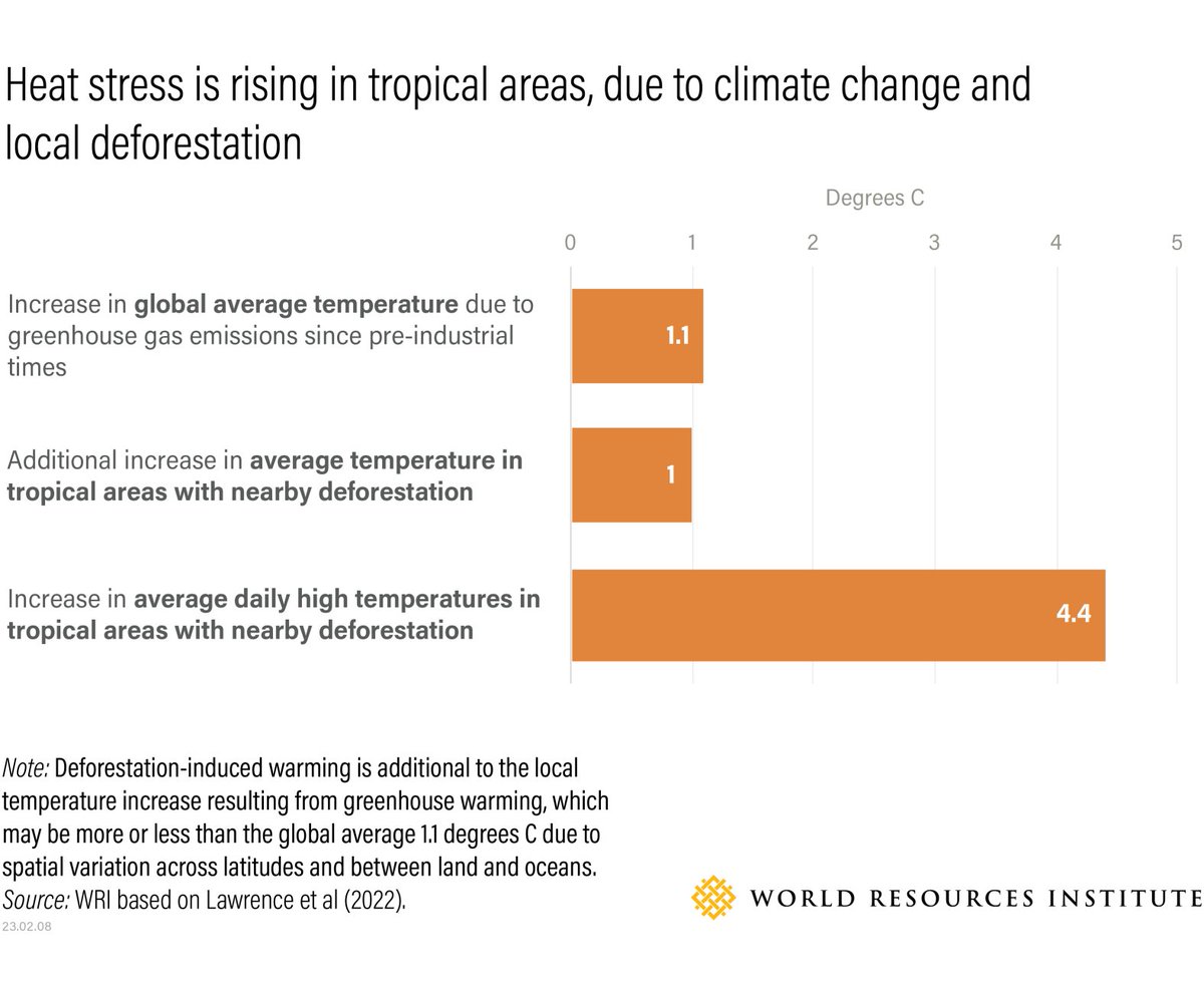 AniDasguptaWRI's tweet photo. In some parts of the world, it’s not just climate change that’s causing dangerously high heat.

Local deforestation in the tropics can lead to an average increase of 4.4°C warming in daily high temperatures, on top of emissions-driven warming: https://t.co/LPYs8wIg9q https://t.co/D3kHr2Mx6Z
