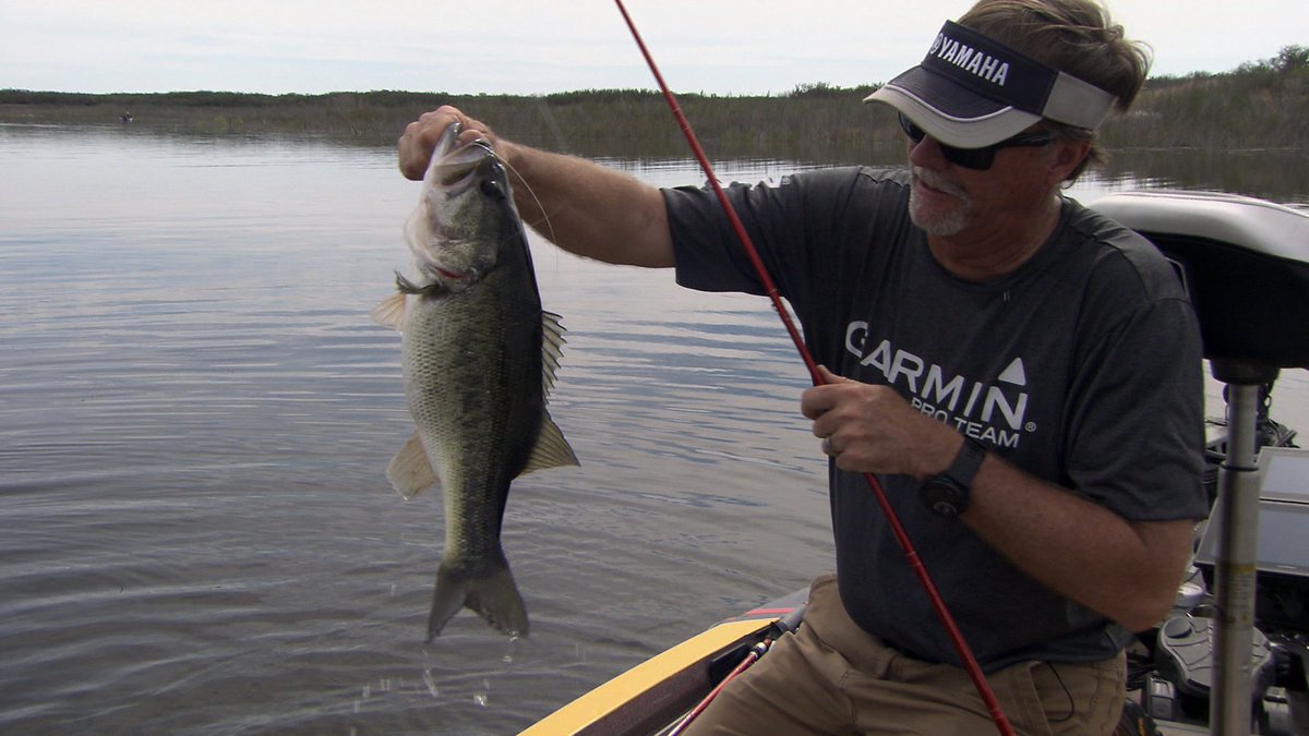 FishHandbook's tweet photo. #FishCatchFriday is for showing off some spring time stud largemouth bass! This bass was caught during the spring time, most likely on or near a spawning bed, a few years ago.
#FishGarmin #YamahaOutboards #Fishing #BassFishing #FishCatch #Friday https://t.co/5C20fDRHO4