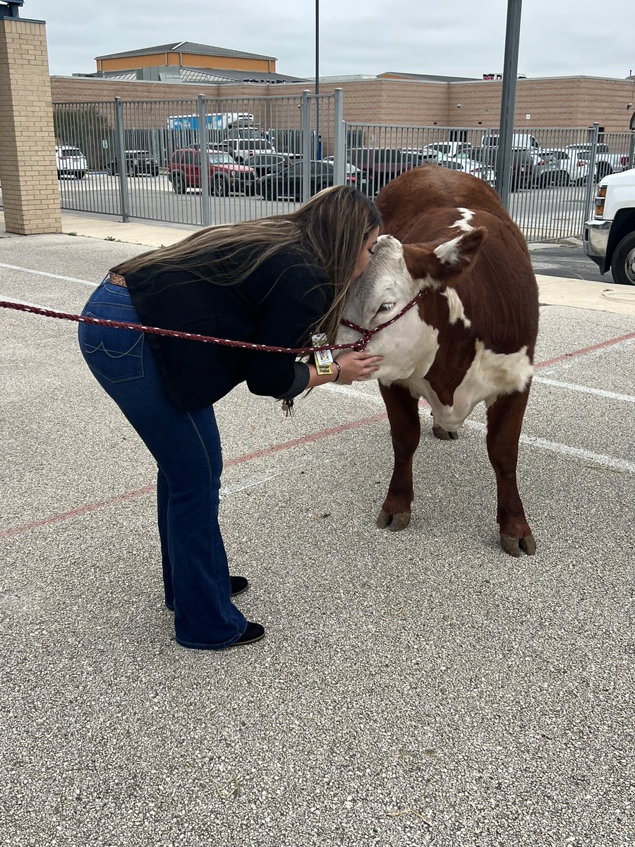 MZamarronKDL's tweet photo. Our Assistant Principal @MaggieLozano  showing our career day animals some love! @OakCrestStinger @ECISDtweets https://t.co/jnyGPcLHJS