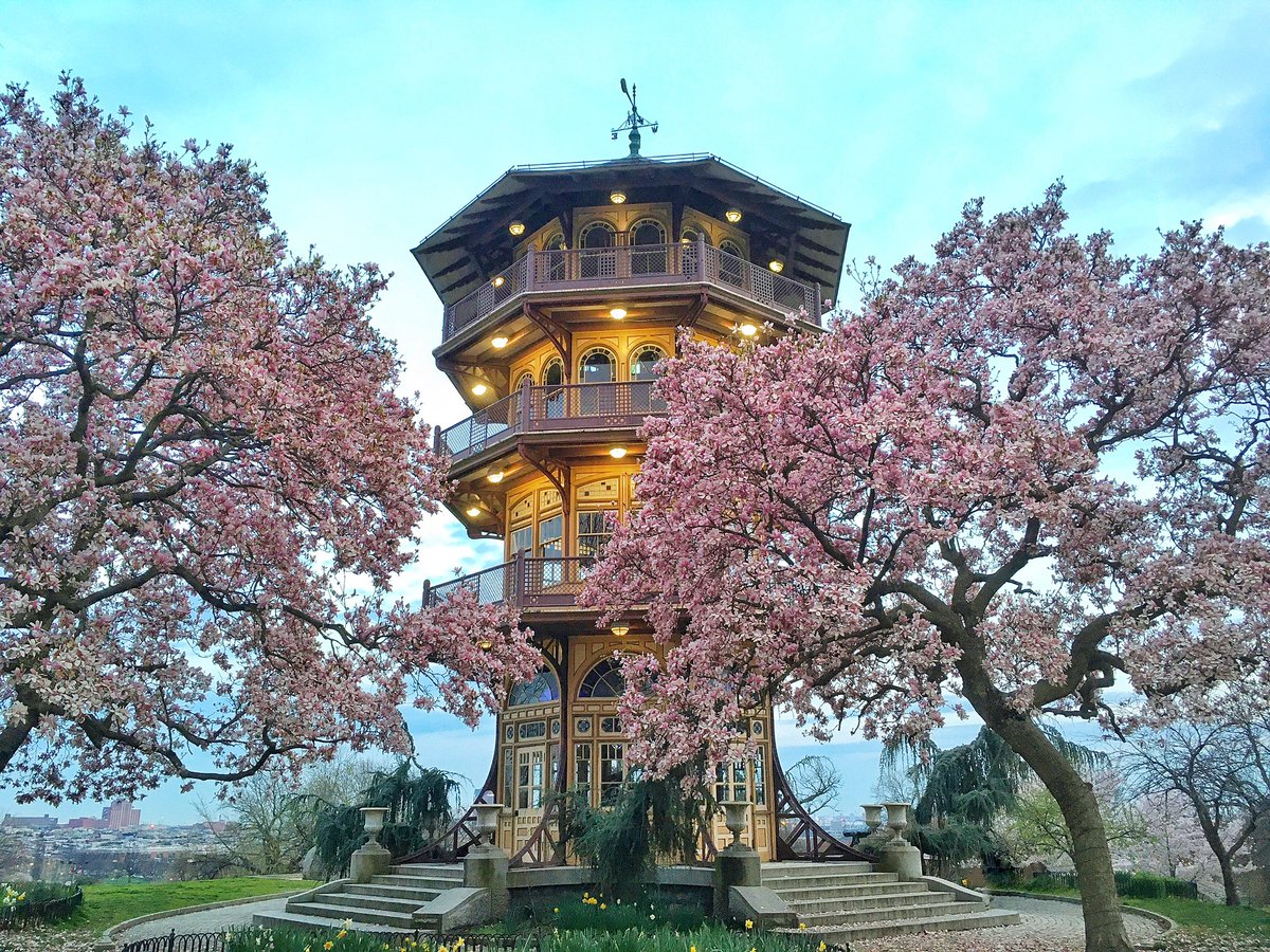 PokyLilWanderer's tweet photo. @MadHattersNYC @LiveaMemory @obligatraveler @intheolivegrov1 @gfreetraveler @live4sights @LindaPeters64 @TravelBugsWorld @travelpantspair @Adventuringgal @FunInFairfax @leisurelambie Spring is probably my favorite time in Baltimore & DC with all the gorgeous flowers! The magnolias are budding and will bloom soon. Theyโre so pretty around the observatory when they hit peak bloom ๐ #Top4Stairs https://t.co/pe27GVCINH