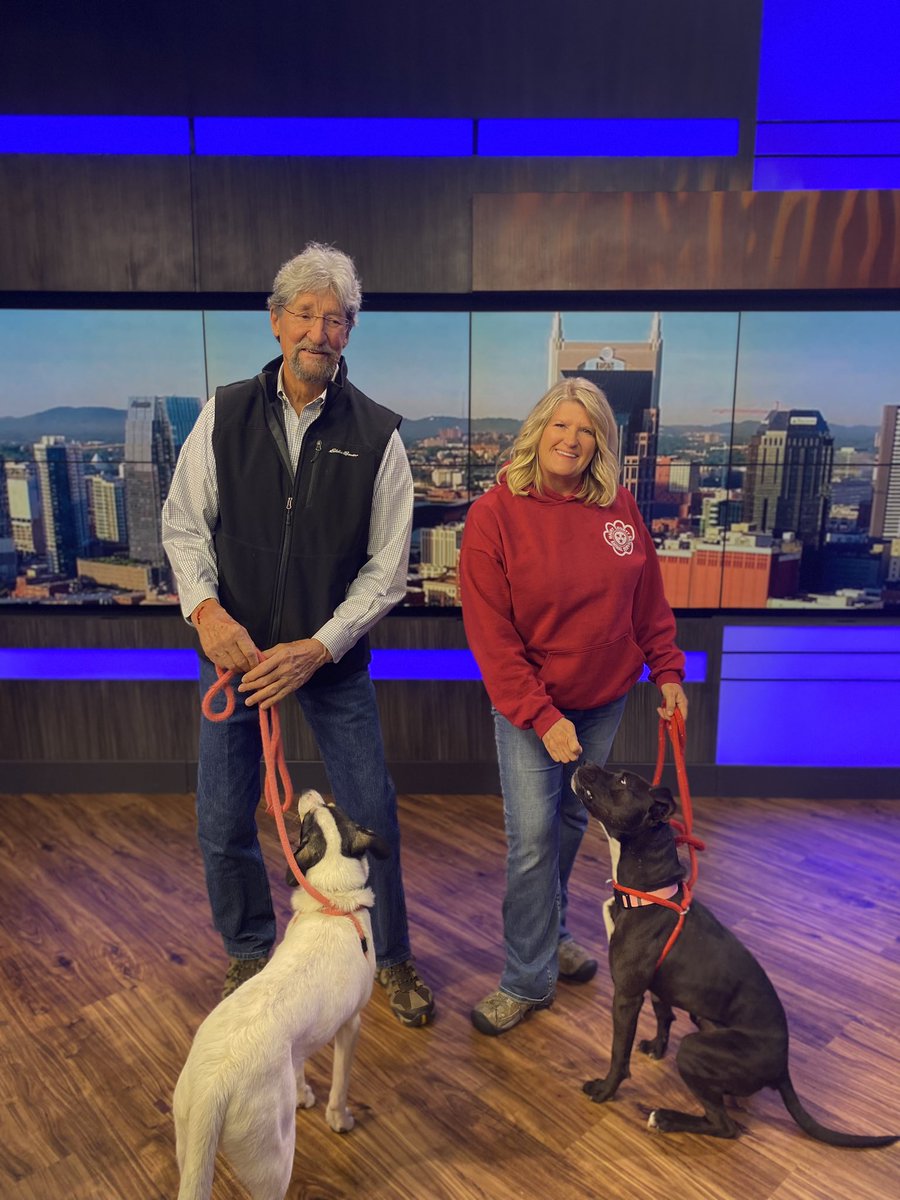 These angels need homes! Can confirm they give the best hugs. 

Find out how you can help Maury County Animal Services here: bit.ly/3yvfz9w

<a href="/FOXNashville/">FoxNashville</a>