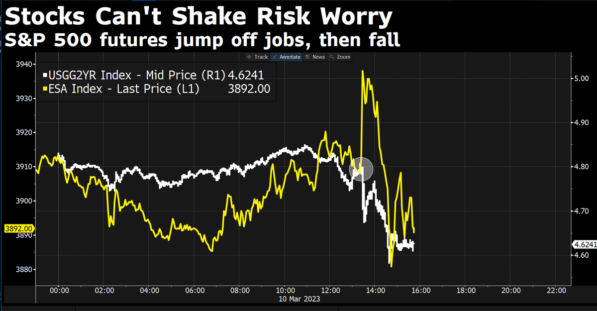 Daniel Curtis tweet media