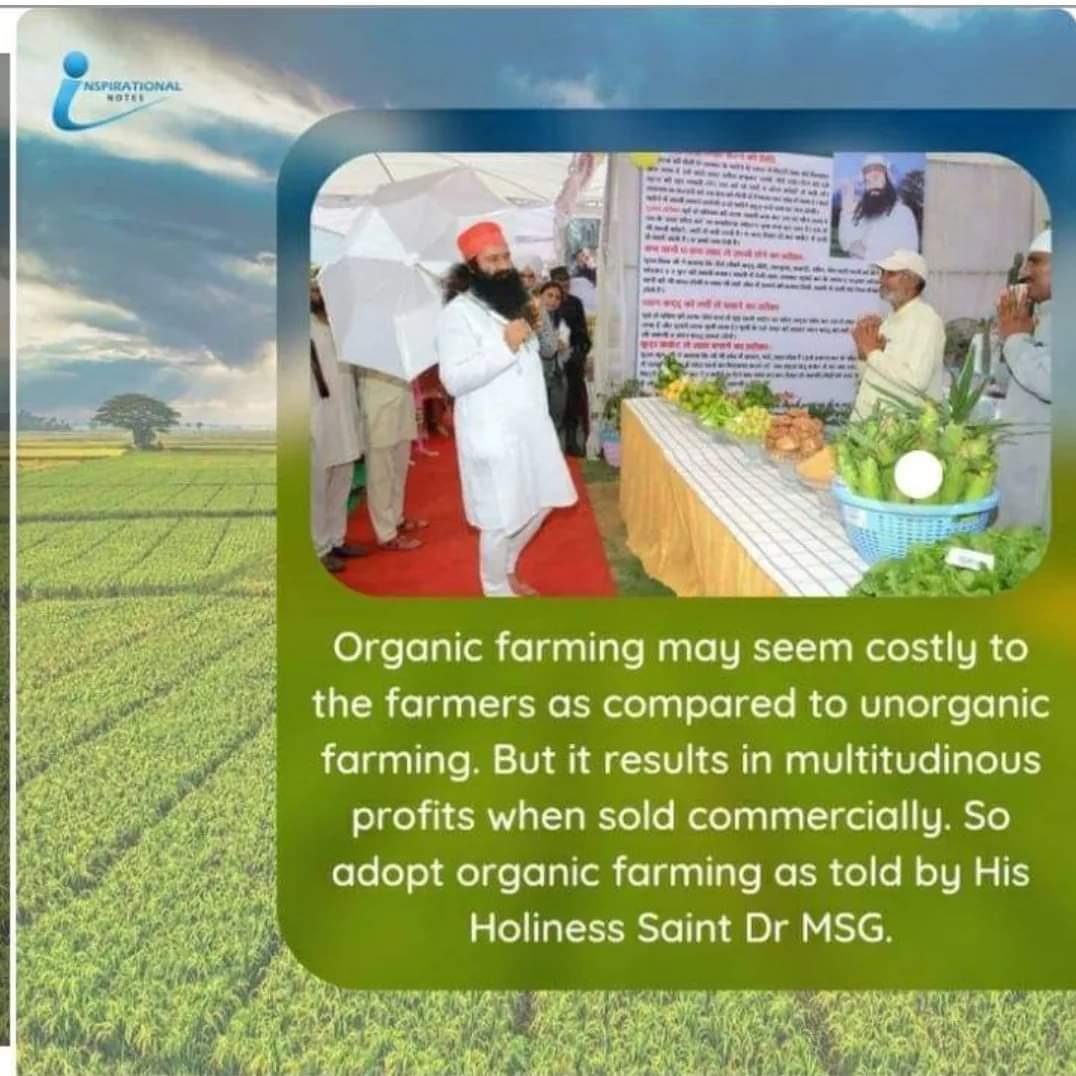 AmitaPa40178180's tweet image. Saint Dr Gurmeet Ram Rahim Singh Ji Insan  ने गोबर की खाद के उपयोग पर अपनी राय साझा की, जो न केवल फसल की उपज बढ़ाने में मदद करता है बल्कि मिट्टी की बनावट में सुधार करने में भी मदद करता है। गुरु जी ने जमीन के खेती के कुछ खास टिप्स भी साझा किए।
#FarmingTips
#FarmingGuide