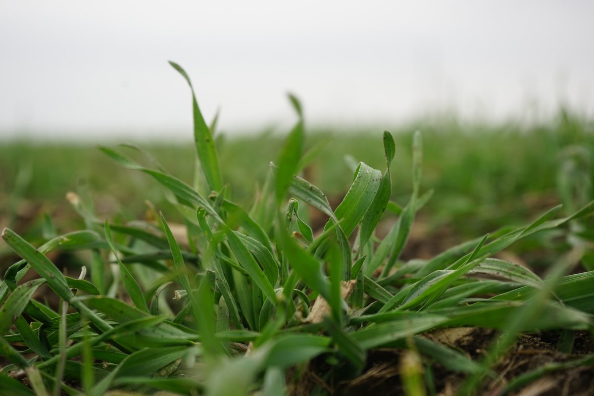This is my 12th Commodity Classic and the first when the <a href="/IowaSoybeans/">IowaSoybeans</a> was called out from the podium by the U.S. Ag Secretary for its innovative work in opening new income opportunism for farmers by tapping eco-system markets.