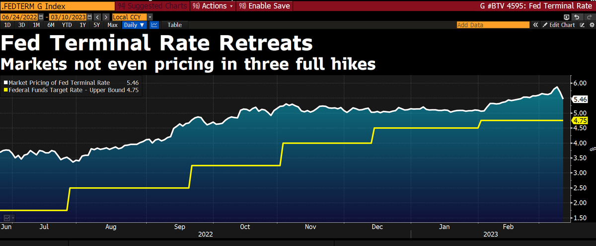Daniel Curtis tweet media