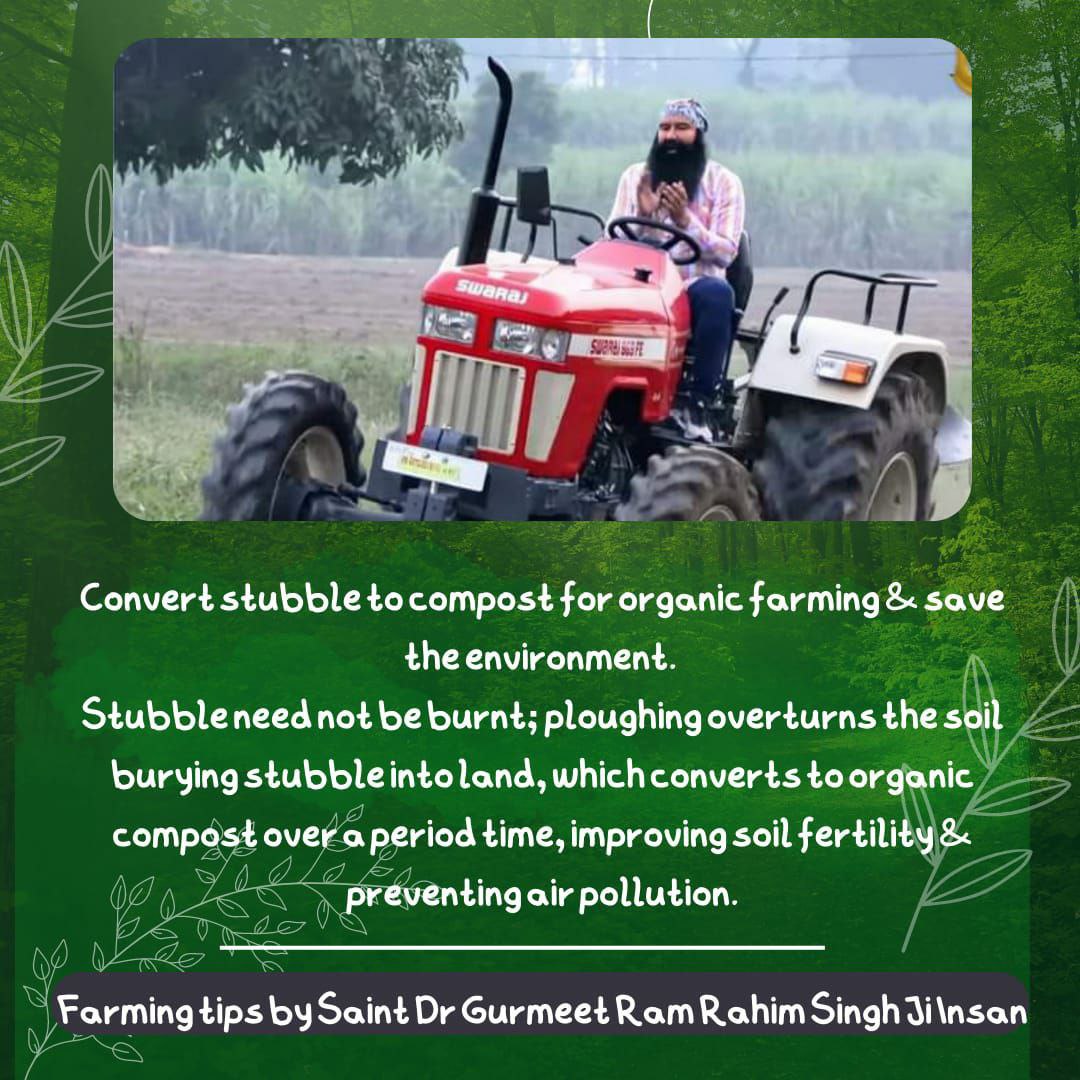 lakhesarrajveer's tweet image. On today demand Saint Dr Gurmeet Ram Rahim Singh Ji Insan gives some 
#FarmingTips for  organic farming, live long, happy and healthy life 
#FarmingTipsBySaintMSG
#FarmingGuide