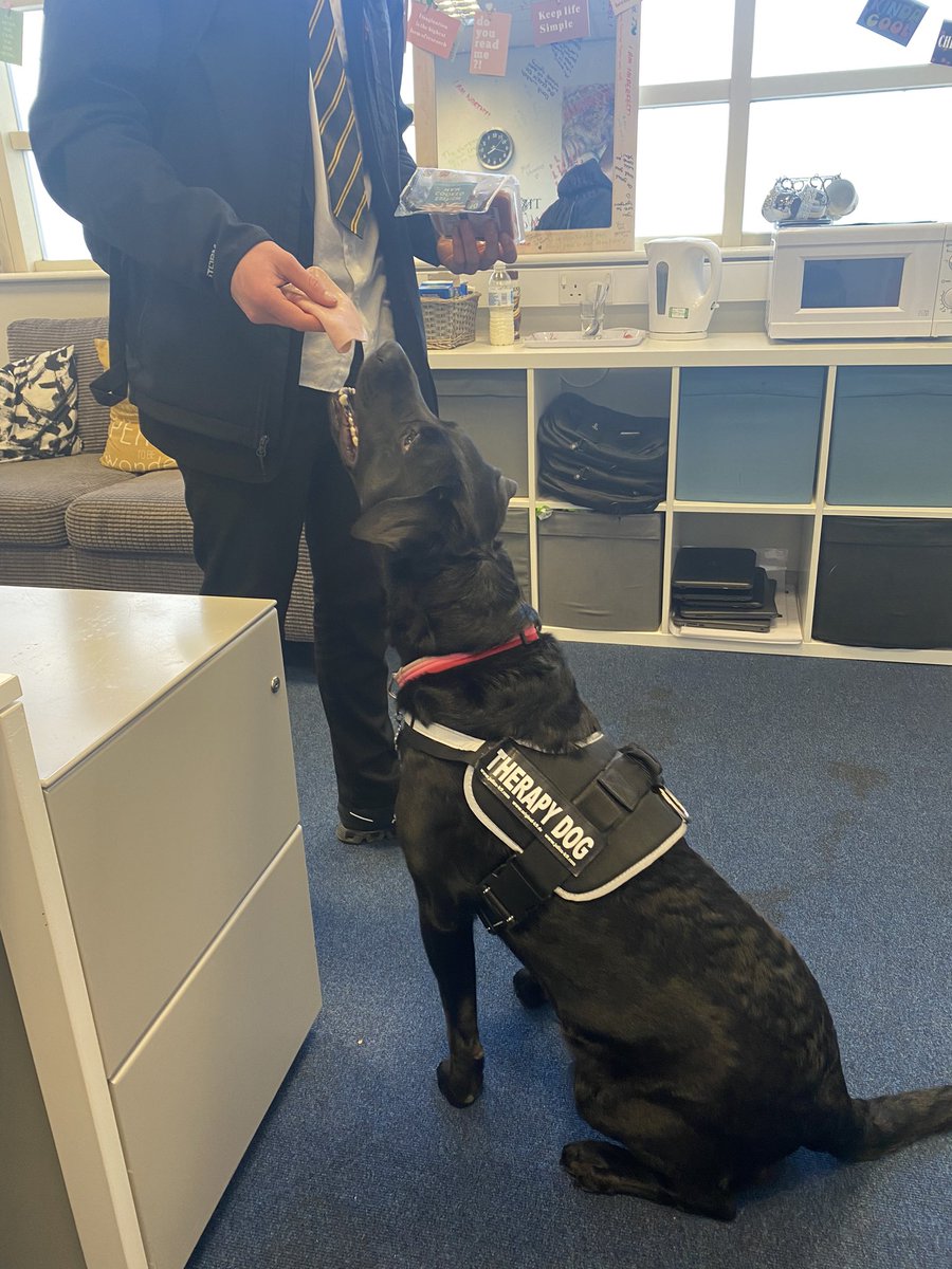 MrsBewes@PHS tweet media