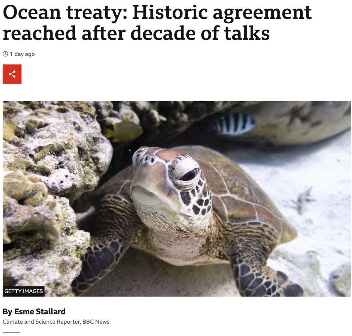 CruzFoam's tweet photo. Nations have reached a historic agreement to protect the world's oceans after 10 years of negotiations. The High Seas Treaty will help create 30% of protected areas by 2030, to safeguard marine nature. This is a historic day for conservation. #follownature https://t.co/ztQMg5rDpj https://t.co/w1nCt2lBNg