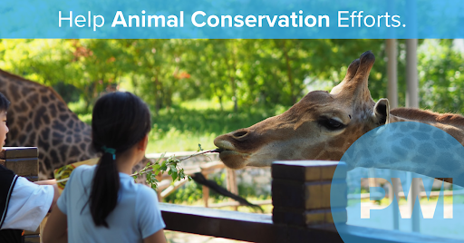 Zoos and aquariums worldwide collectively spend over $350 million on animal conservation efforts each year, and generate over 700 million visitors in a given year. Support these nonprofits bit.ly/35YbS1G #animals  #nature #wildlife #zoolife #zooanimals