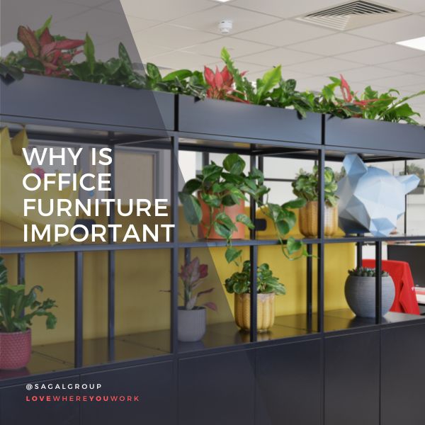 Quality furniture can be costly, but it is an investment that can pay off in terms of employee satisfaction and productivity, as well as in the longevity of the furniture itself. 
Continue Reading bit.ly/3SovZK5