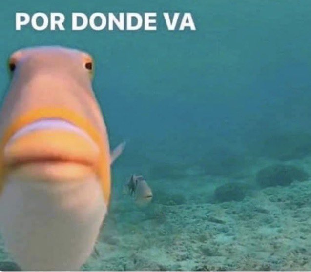 yo 3 segundos después de haber hecho una compra por internet