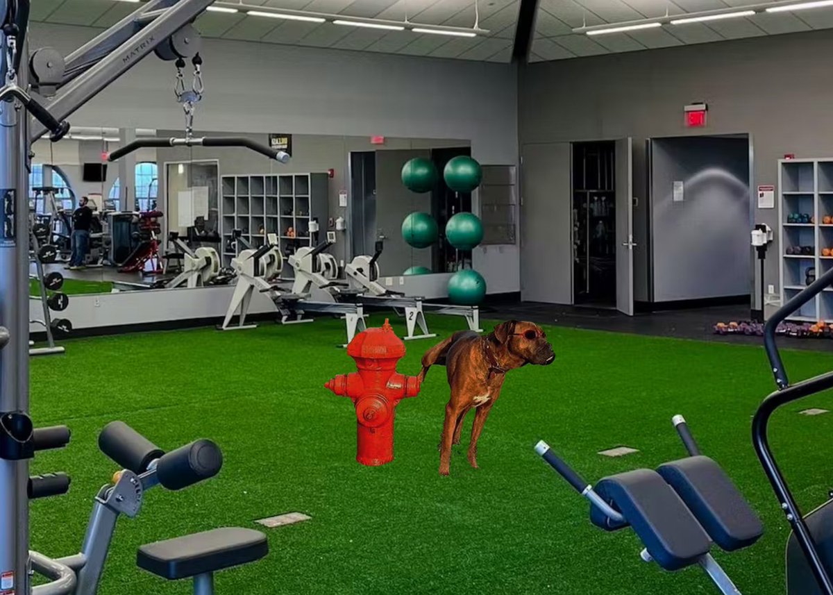 Nelson Renovation Just A Few Dumbbells And Place For Dogs To Pee Inside

thenoser.com/article/Nelson…