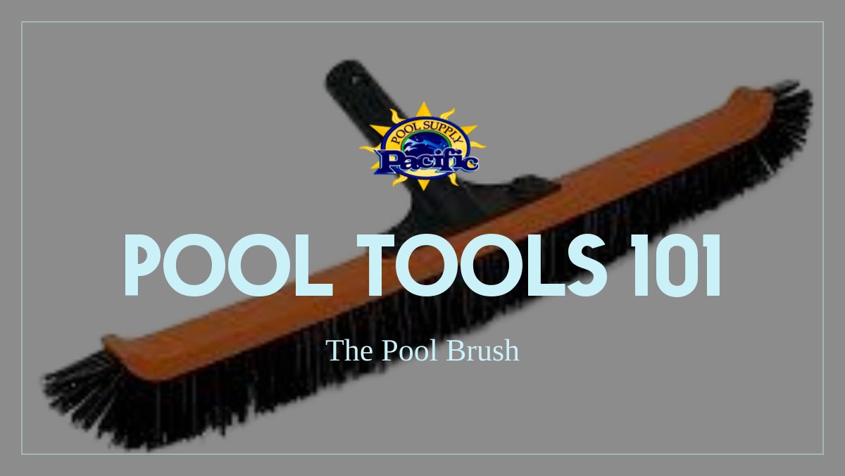 Pool Tools 101 - The Pool Brush - mailchi.mp/pacificpoolsup…
#pacificpoolsupply  #poolstore  #poolstorenearme  #poolsupply  #poolsupplies  #poolsupplynearme #dolphinpoolcleaner