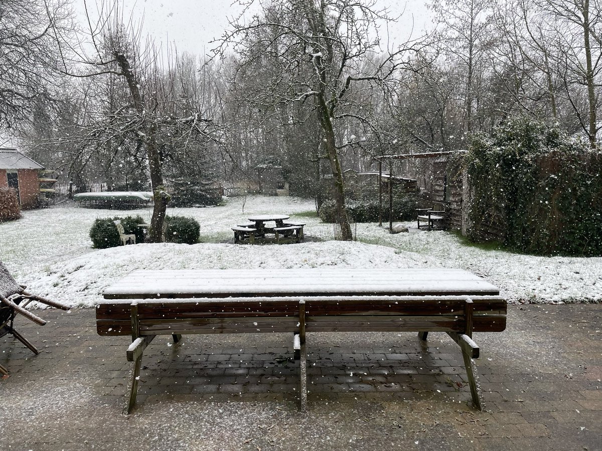 Hunzepleisterpl's tweet photo. De eerste gasten van het seizoen komen aan in de sneeuw. Hallo! Het is lente hoor! https://t.co/OgePhjoV3F