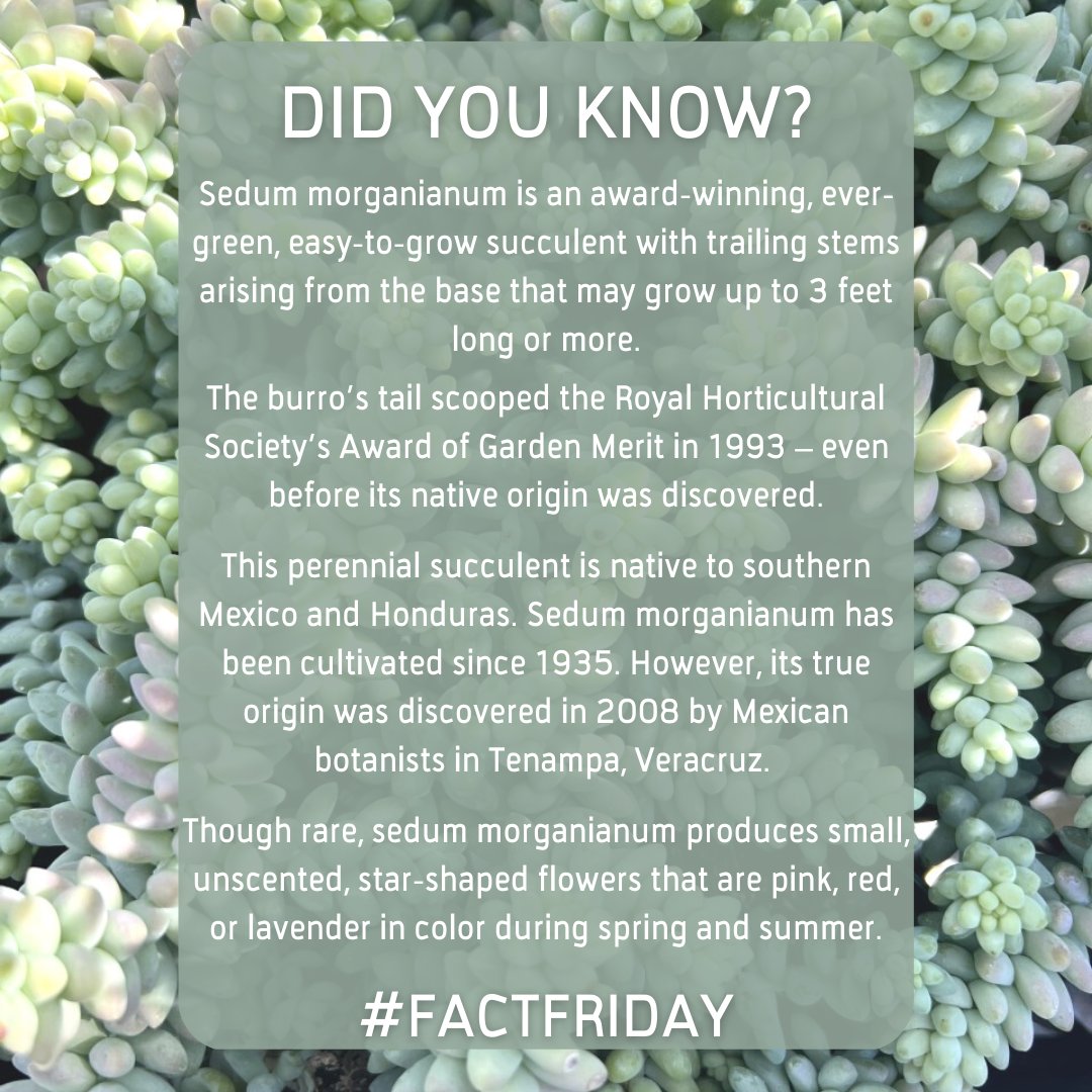 Articulture Designs tweet media