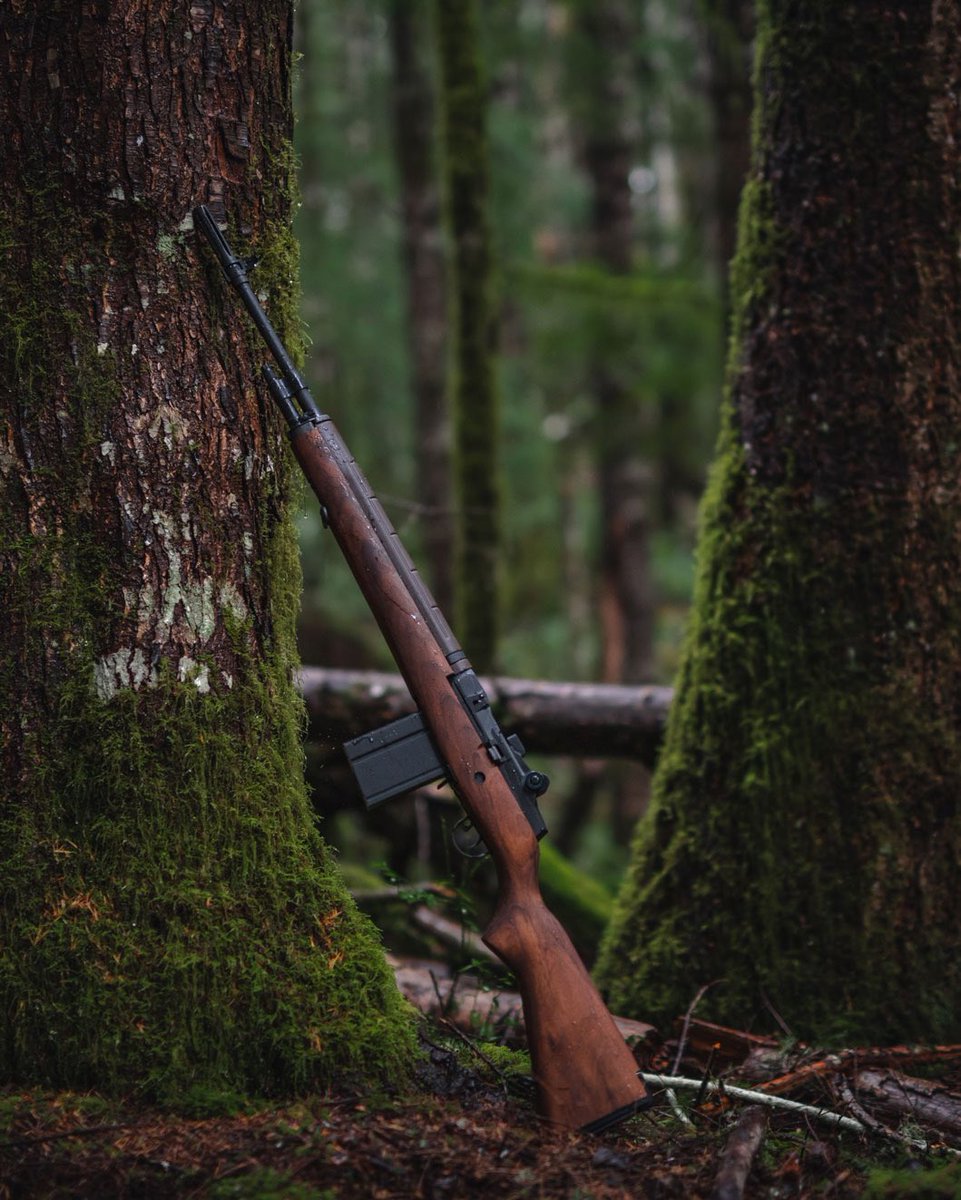 Springfield_Inc tweet picture