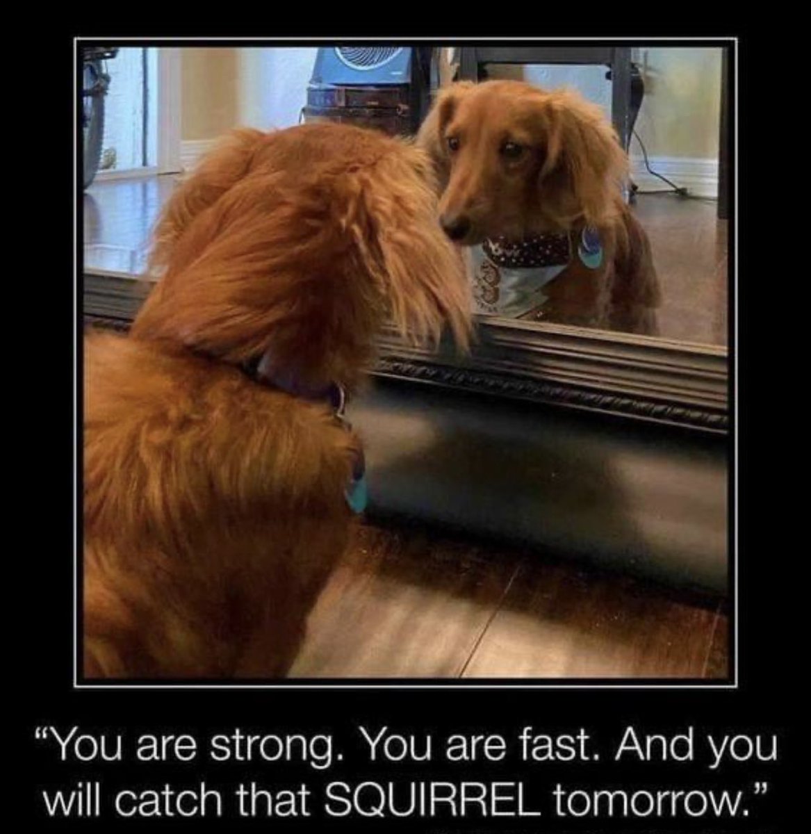 Ritesh Tandon, PhD, FAHA tweet media