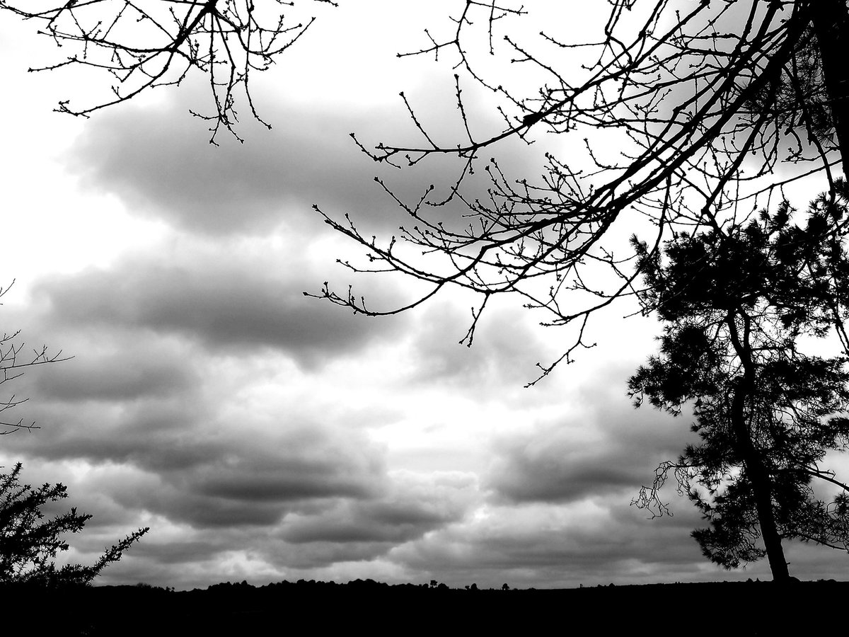 LES NUAGES BAS
BLAGUE SENSAS
#Anagrammes
Entre les gouttes en Black &amp; White dans Les Landes du Cragou 🖤🤍