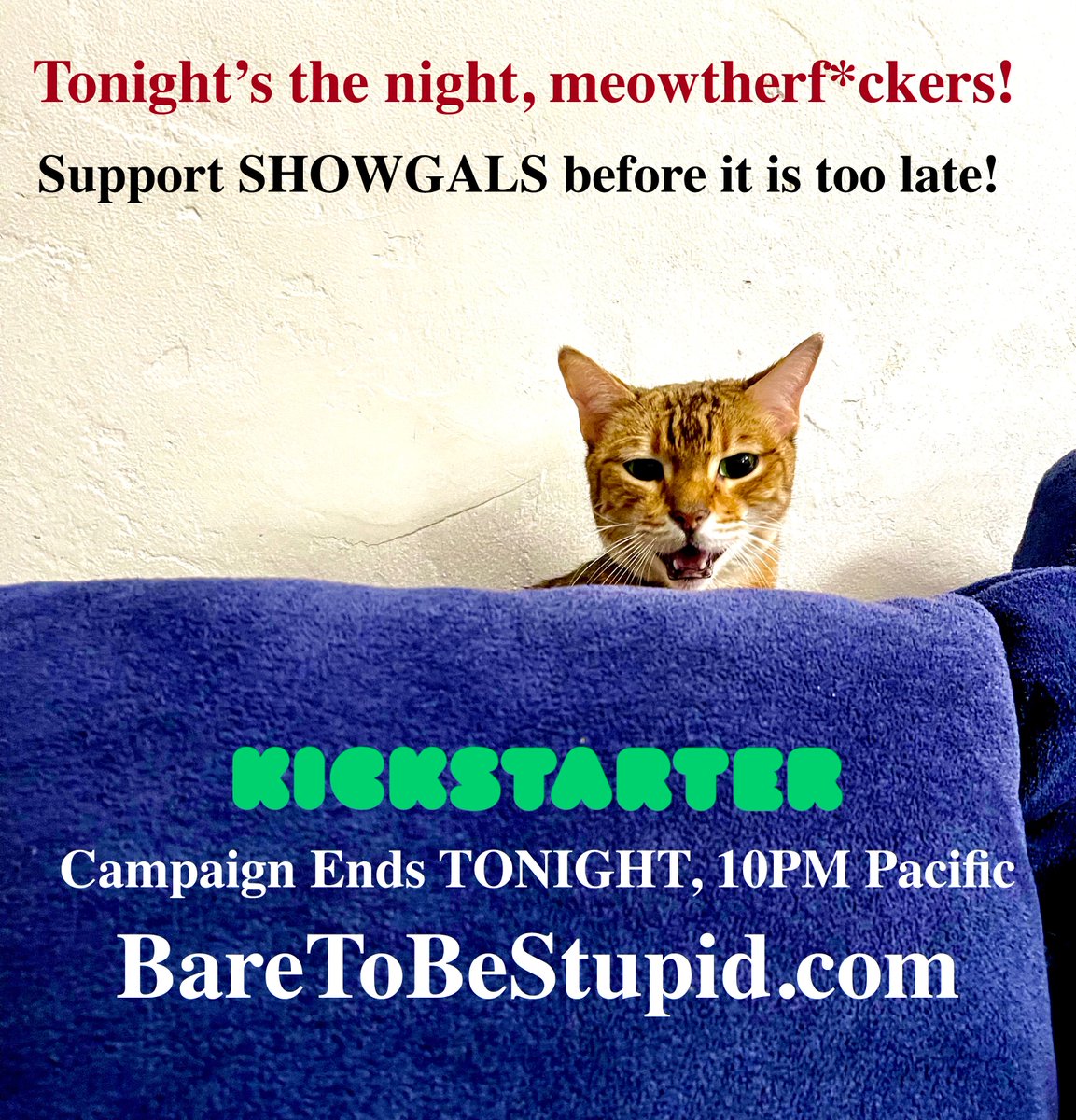 FINAL HOURS!  AND WE ARE So CLOSE!  Please help if you can!  Otherwise Chloe will put the "fur" in furious.  Or something.   BareToBeStupid.com #BareToBeStupid #WeirdAl #Burlesque #Nerdlesque #ShowgalsTheMovie #Kickstarter #Cats #BengalCat