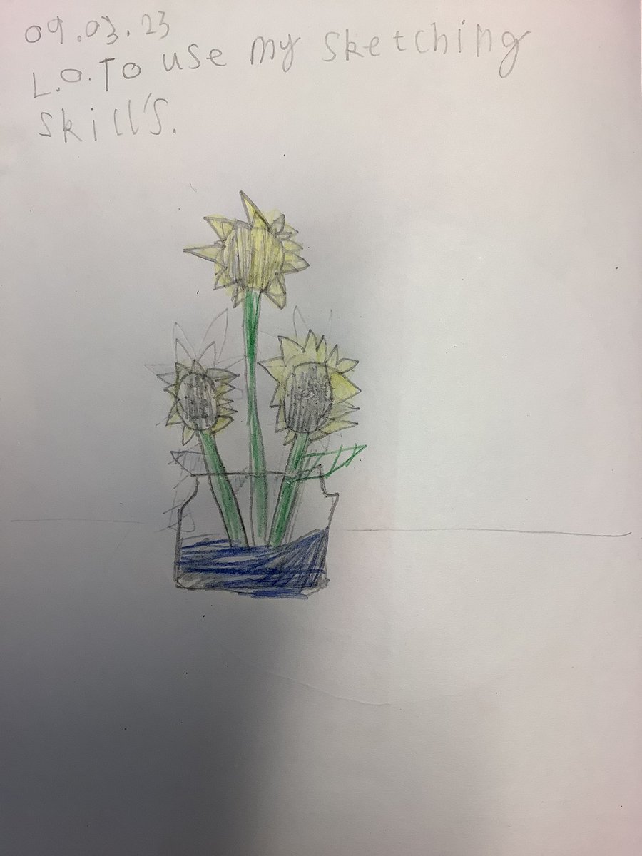 Barfordstpeters's tweet photo. Year 2 have been putting their sketching skills to good use by looking at Van Gogh’s Sunflowers. We had a go at drawing our own! #bspArt https://t.co/okdln1bsE6