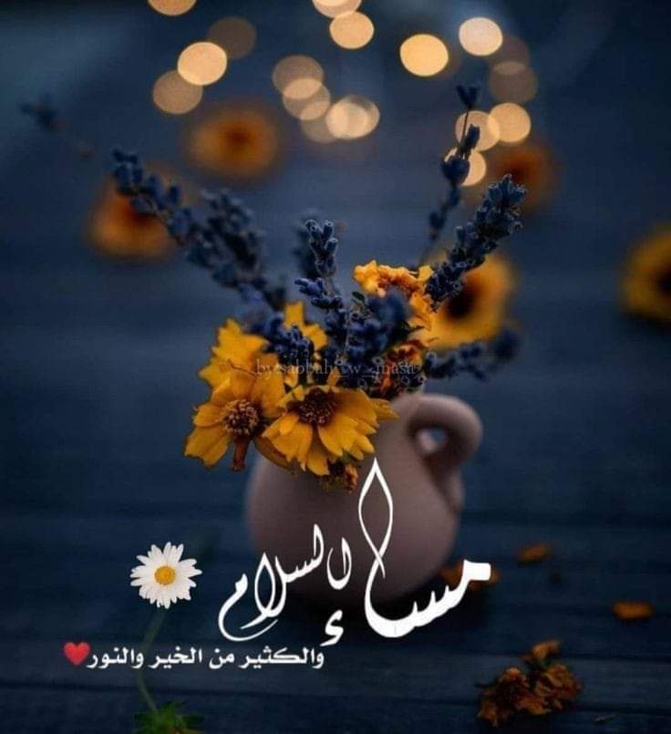 *مساء كل الأشياء الجميلة* ⭐️

*والكلمات العذبة والحروف الأنيقة⭐️

مساء  الخير  لقلوبكم أحبابي ⭐️

#مساء_الخيرᅠ