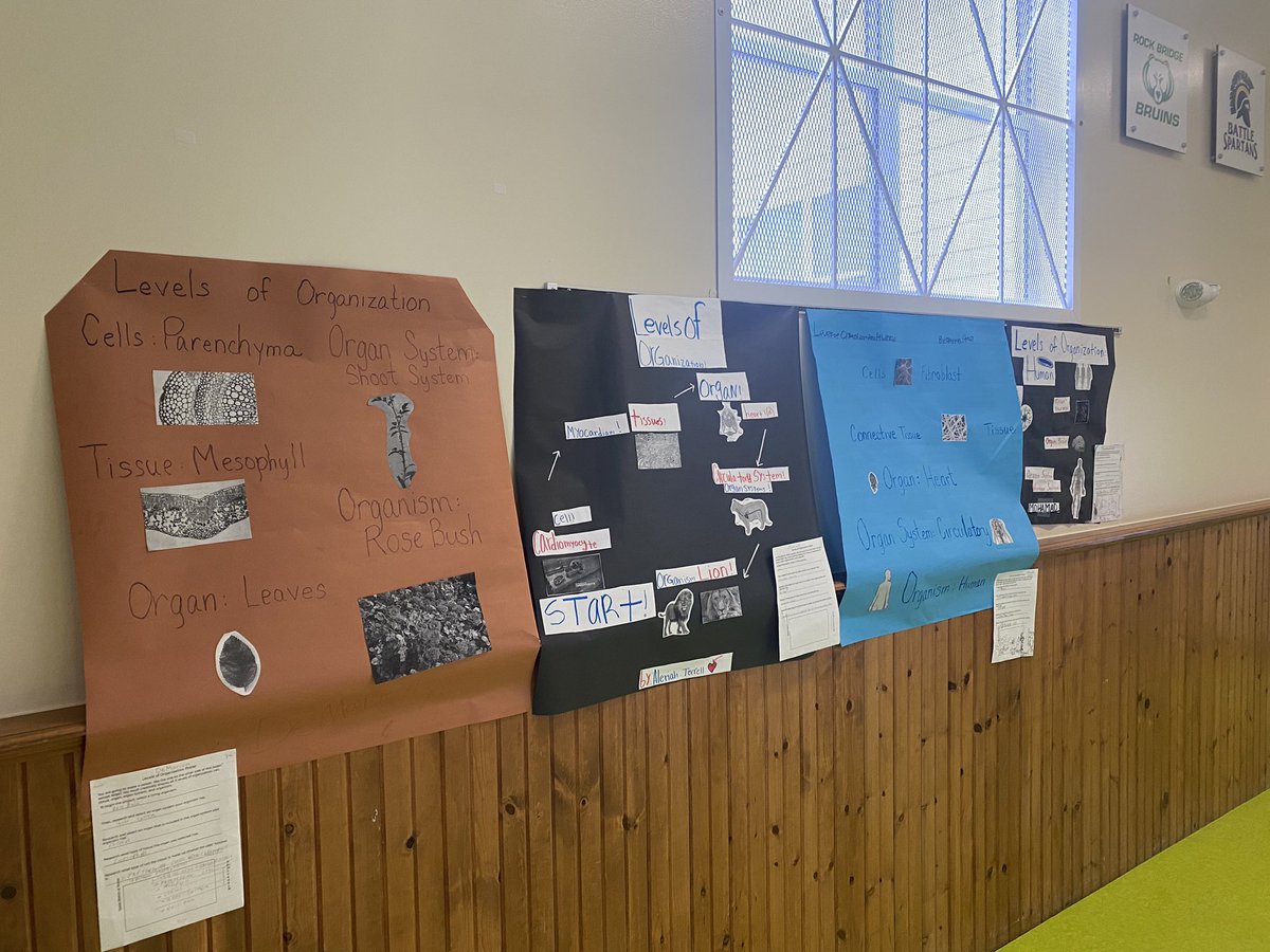 I love to see the products of our hard-working scholars decorate the hallways of Bethel Street Center! #QuestSouth #CPSBest