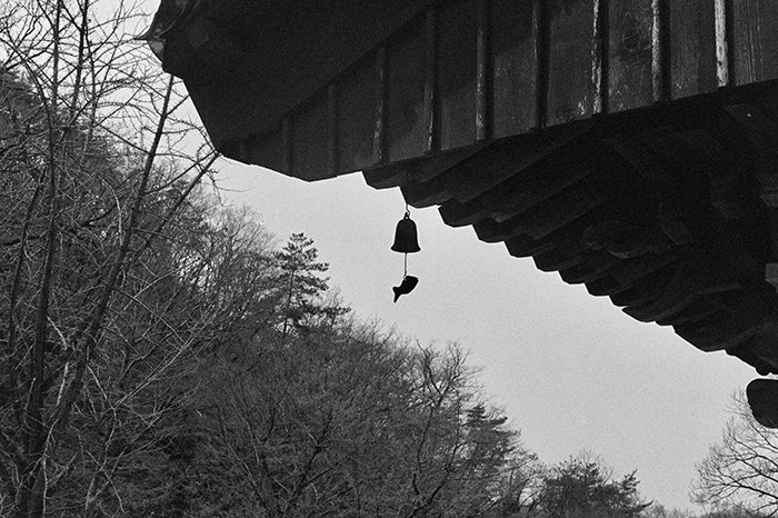 📷<기와지붕>, <처마 밑 풍경> by 유연

🔗naver.me/FfWJeJpr

#강승윤 #KANGSEUNGYOON #승윤 #Seungyoon #위너 #WINNER