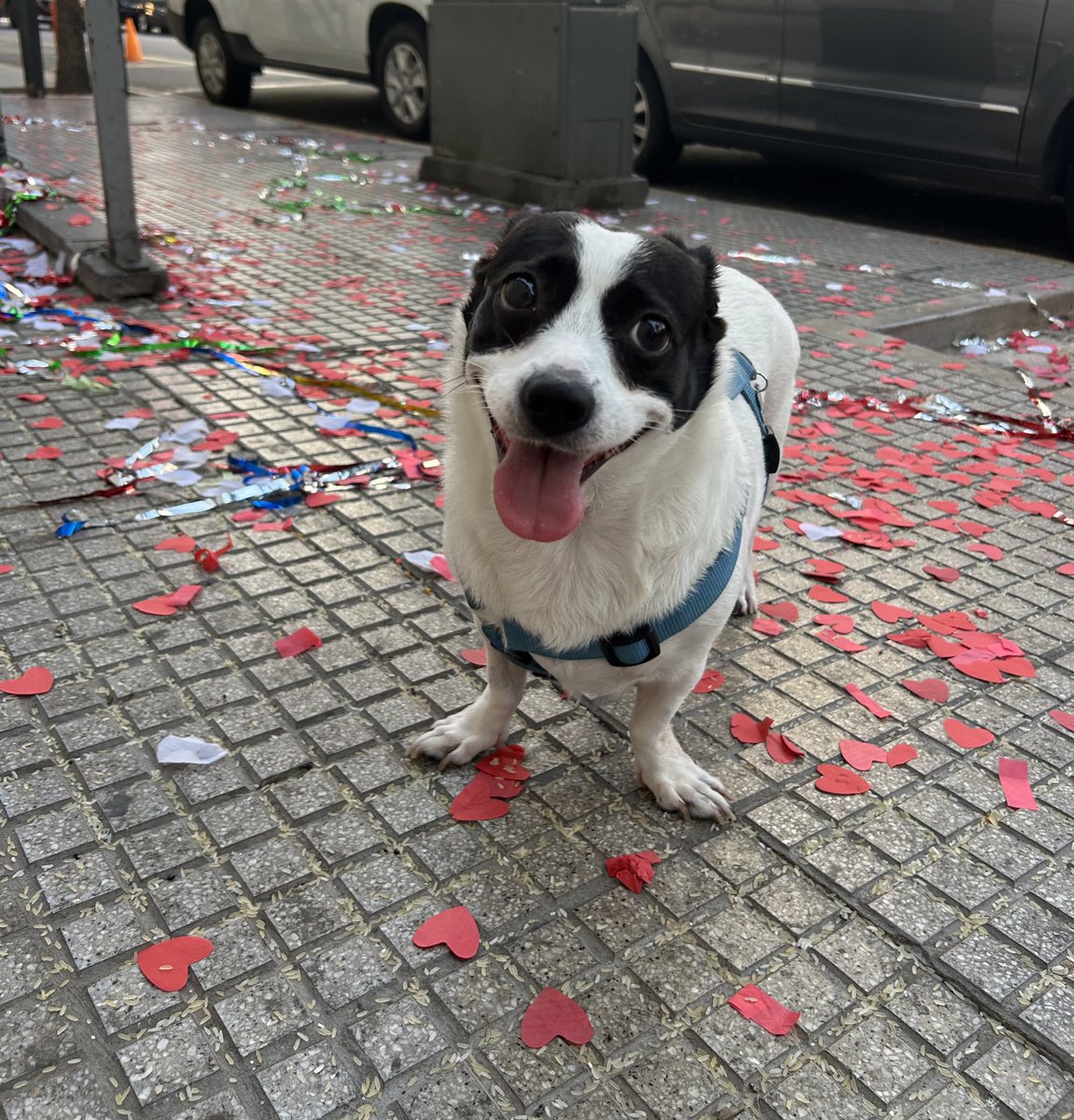 agusrecomienda's tweet photo. Pasamos por la puerta de un registro civil https://t.co/jAlTItRgaz