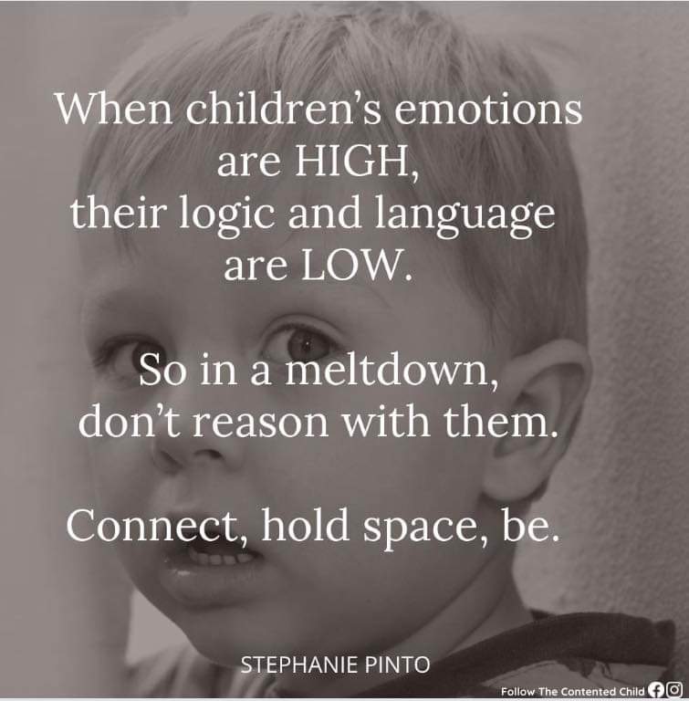 Regulate, Relate, Connect, then Reason. 🧠🌱