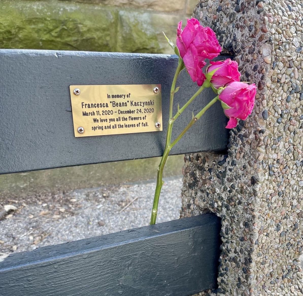 RealMonkeyCat's tweet image. Remembering Francesca “Beans” and supporting her loving daddy @KFILE participation in the Pan-Mass Challenge. @TeamBeansFund 🐾💛
Click here to join me and support #PMC2023 donate.pmc.org via @panmass