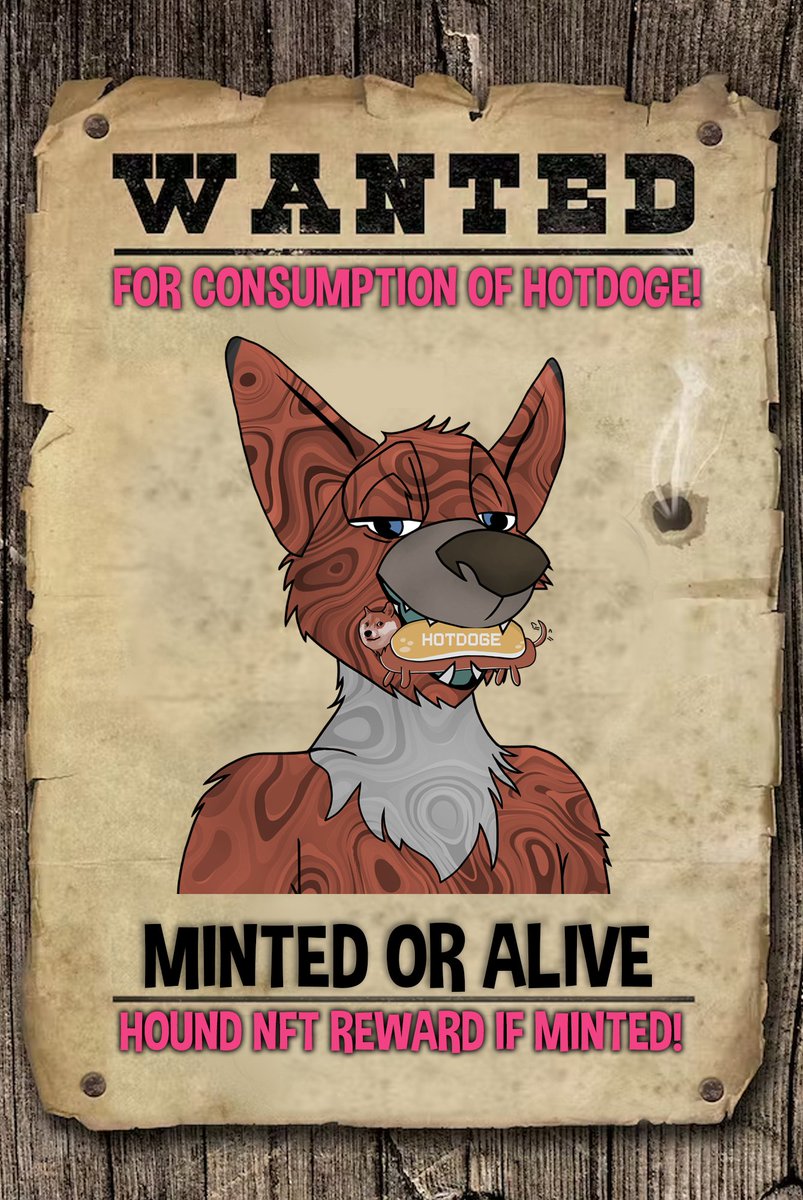 HotDoge (Dogechain & BSC) tweet media