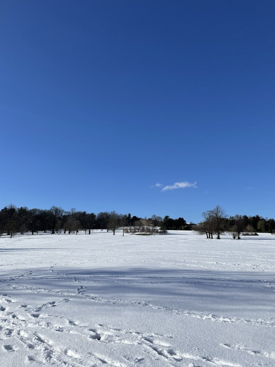 David Sinclair tweet media