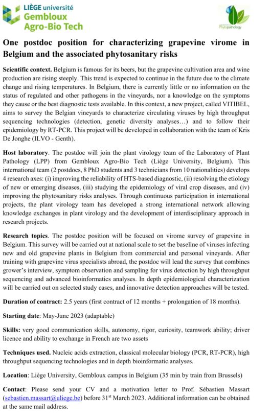 Sebastien Massart tweet media