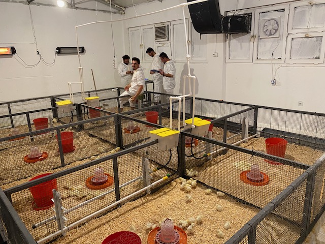 Çalışmaya devam...

#TÜBİTAK <a href="/TubitakBIDEB/">TÜBİTAK BİDEB</a> projemizin hayvan deneyleri devam ediyor.

#Bicaba burs programı kapsamında yeni çalışma arkadaşlarımızı ekibimize dört gözle bekliyoruz.

Bugün başvuruların son günü.

<a href="/Tubitak/">TÜBİTAK</a> <a href="/tubitakteydeb/">TUBITAK TEYDEB</a> <a href="/Akdenizun/">Akdeniz Üniversitesi</a> <a href="/ozlenenozkn/">Prof.Dr. Özlenen Özkan</a>