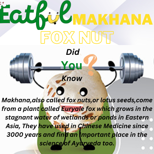 eatfulmakhana's tweet image. The orgins of Makhana are quite humble.
#didyouknow #makhana #foxnuts #health #healthyfood #nutrition #superfood #eatfulmakhana